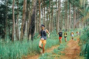 BIB: 
                            <button type="button" onclick="openModal(25654502)" class="btn btn-primary btn-sm float-right btn-popup" data-toggle="modal" data-target=".modal-high-quality">
                        <i class="fas fa-shopping-cart"></i> Add to Cart
                    </button>
                                            <button type="button" onclick="isThisMe(25654502, true)" class="btn btn-success btn-sm float-right btn-popup btn-isme hidden" data-toggle="tooltip" data-placement="bottom" title="นี่คือรูปของคุณใช่ไหม คลิกที่นี่เพื่อเอาเข้าอัลบั้ม">
                        <i class="fas fa-plus"></i> Add to album
                    </button>
                    <button type="button" onclick="isThisMe(25654502, false)" class="btn btn-warning btn-sm float-right btn-popup btn-isnotme hidden">
                        <i class="fas fa-ban"></i> Remove from album
                    </button>